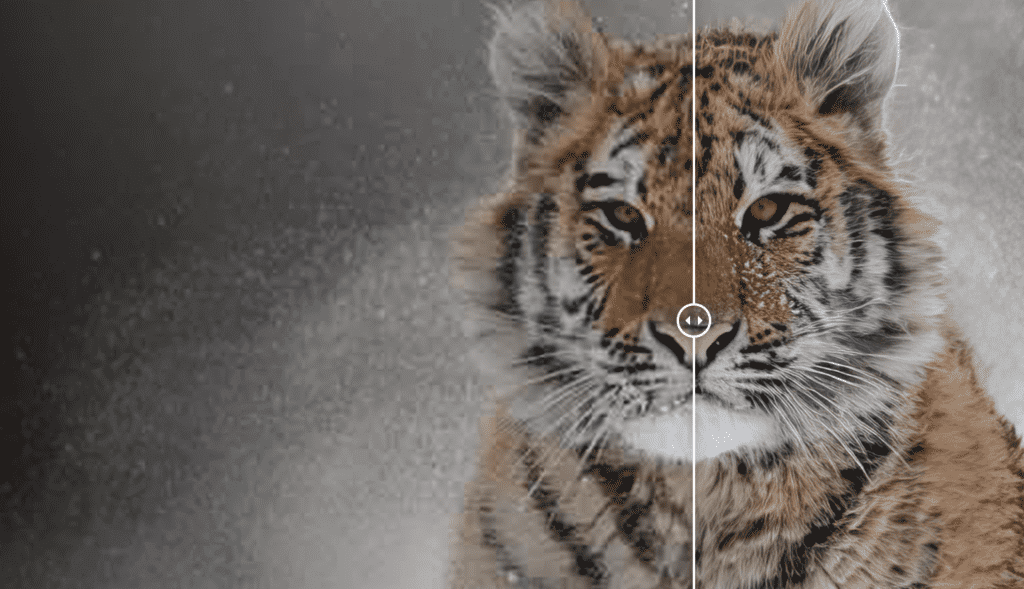 AI Image Upscaling Compared AI Image Upscaling Compared