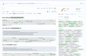 A Web Page With A Text Editor For Creating Seo-Ranked Content.