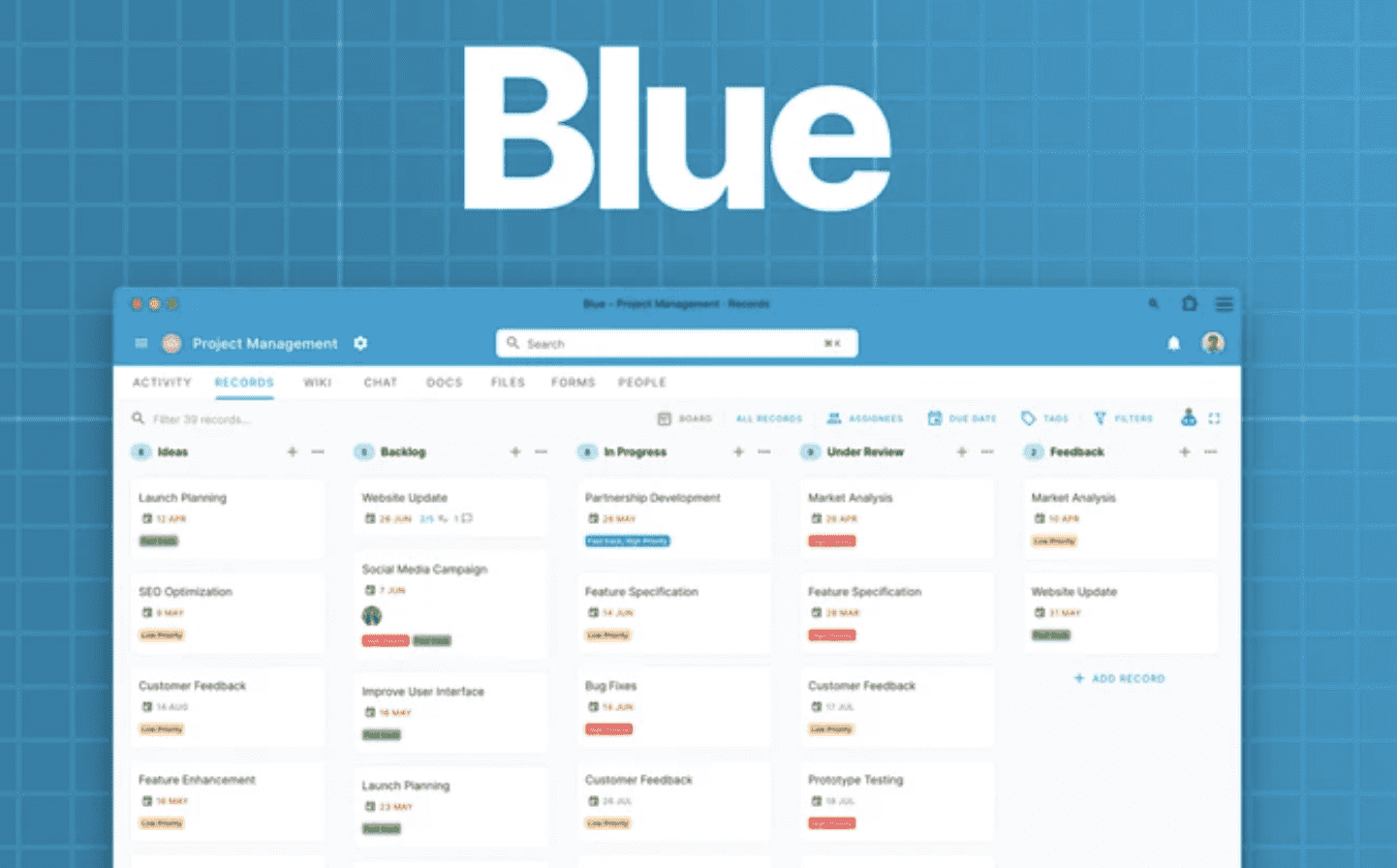 Blue Project Management System Review